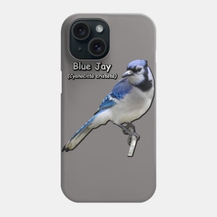 Blue Jay Phone Case