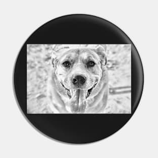 Happy Labrador Dog Pin