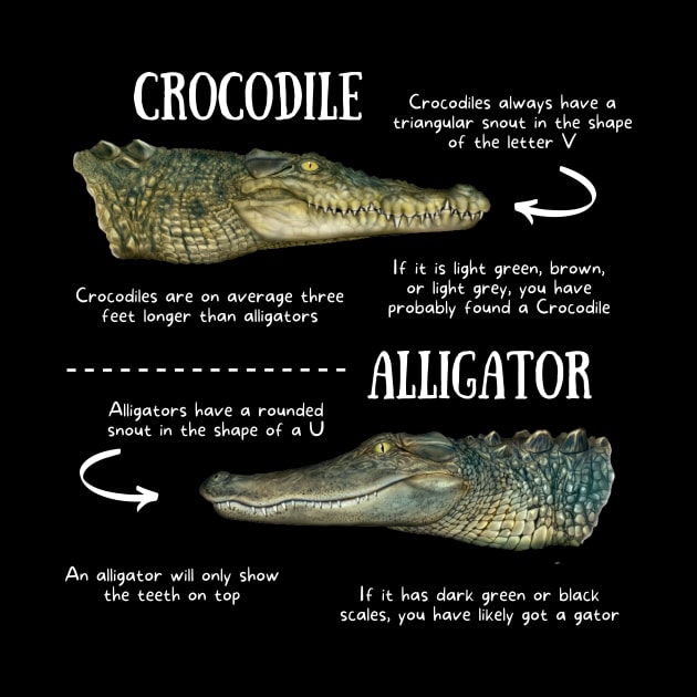 Animal Facts - Crocodile vs Alligator by Animal Facts and Trivias