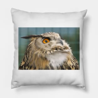 Eagle Owl Portrait Pillow