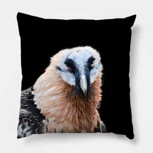 Bearded Vulture 1 / Swiss Artwork Photography Pillow