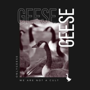 OnlyGeese - We Are Not A Cult T-Shirt