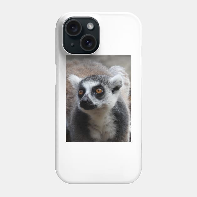 Ring Tailed Lemur Phone Case by kirstybush