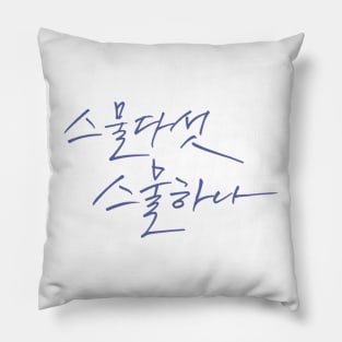 Twenty Five Twenty One Pillow