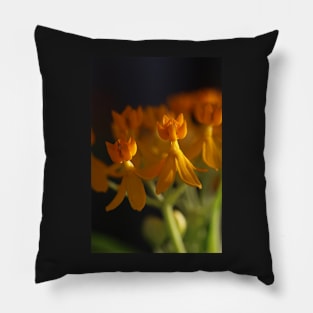 golden hour flowers Pillow