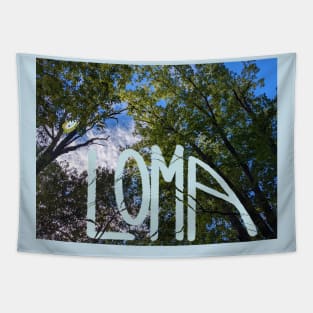 Loma Band Fan Tapestry