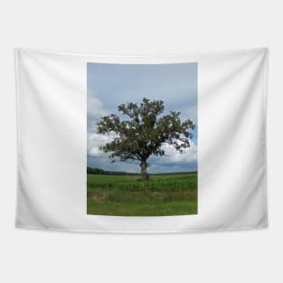 Single Tree In The Wide Open Fields Tapestry