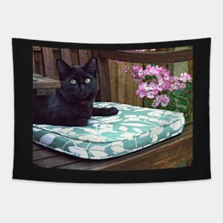 Cat on Seat Tapestry