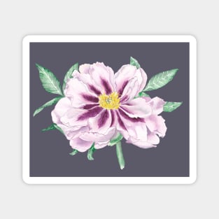 Tree peony Magnet