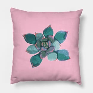 Succulent Plant Pillow