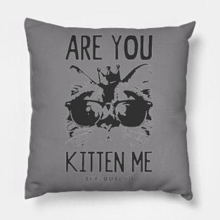 Are you Kitten Me? Pillow