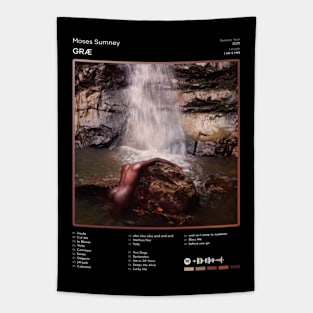 Moses Sumney - græ Tracklist Album Tapestry