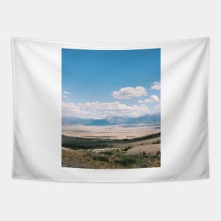 landscape Tapestry