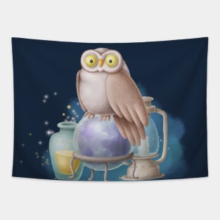 Owl on a magic ball Tapestry