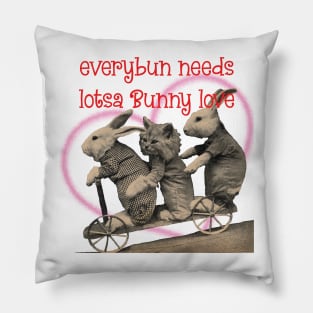 Everybun needs Bunny love + Kitten Pillow