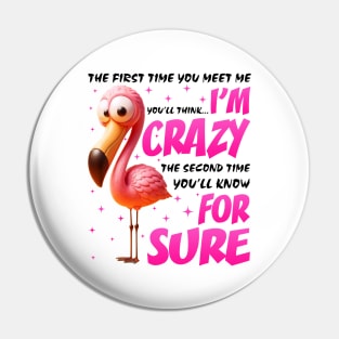 Pink Flamingo You'll Think I'm Crazy Flamingo Lover Pin