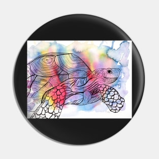 Madagascar Turtle Colorful Watercolor Illustration Pin