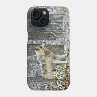 Gray Wolf In Winter Phone Case