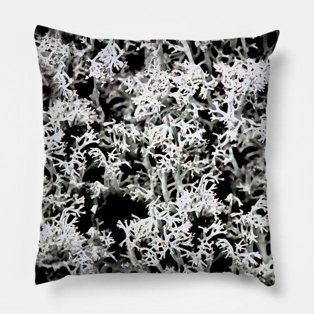 Lichen Pillow by HenriYoki