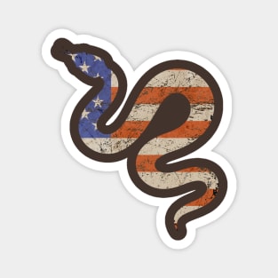 USA flag Snake Art work Magnet