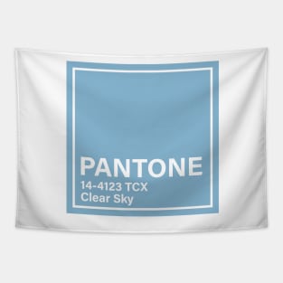 PANTONE 14-4123 TCX Clear Sky Tapestry