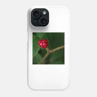 Luscious red berry on a summer afternoon Phone Case