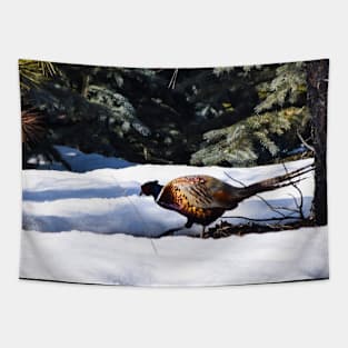 Ring Necked Pheasant Tapestry