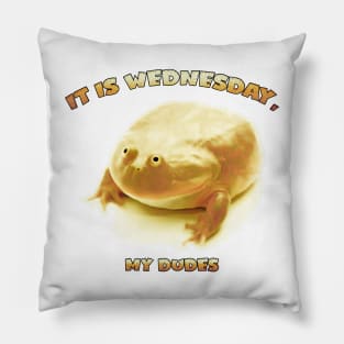 It is Wednesday my Dudes Pillow