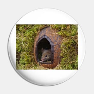 George the mouse in a log pile house - at the door Pin