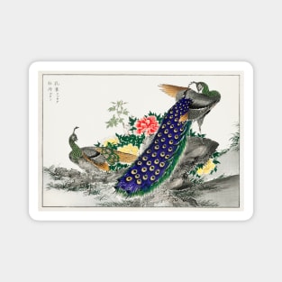 Peacock and Peony Japanese Artwork Magnet