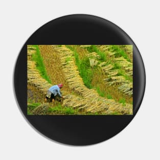 Rice Terrace5. Pin