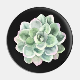 Desert Rose, Succulent Greenery Pin