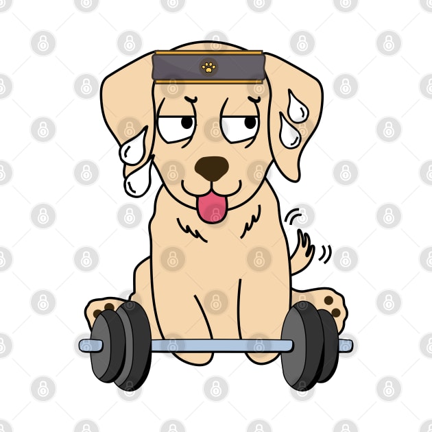 Funny retriever is exercising by Pet Station