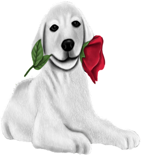 Dog With A Rose Dog Lovers and Couples Gift Magnet