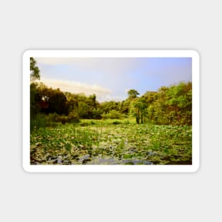 Water lily pond / Swiss Artwork Photography Magnet