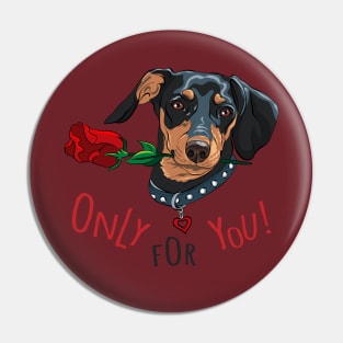 Dog breed Dachshund with red flower Pin