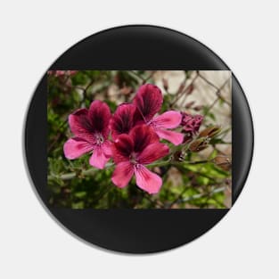 Geranium Pin