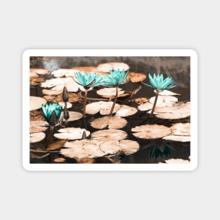 Waterlilies Magnet