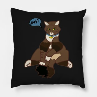 Cat Sit Pillow