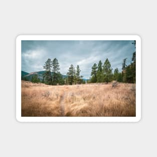 The Golden Path - White Lake Grasslands Magnet