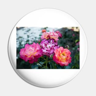 Neon Pink Roses 1 Pin