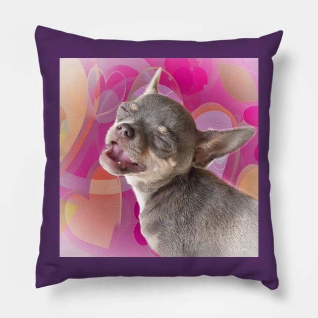 Cheeky Chihuahua Valentines Love Face. Pink hearts. Pillow by BarbaraGlebska