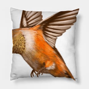 Hummingbird Pillow