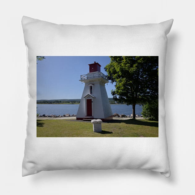 850_4874 Pillow by wgcosby