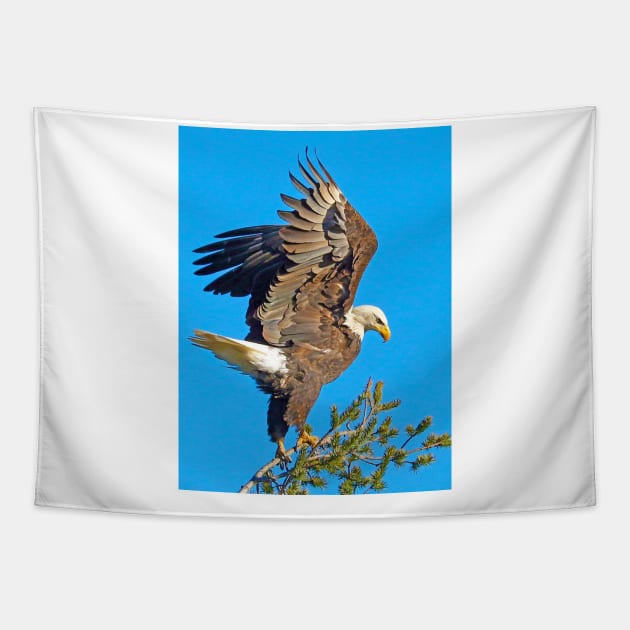 Bald Eagle Preparing for Flight Tapestry by Intrepid Designs