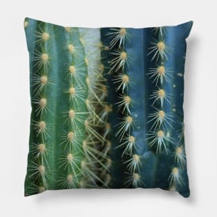 heyK's prickly cactus accessoires Pillow