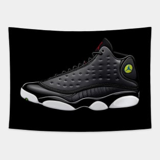 AJ 13 Tapestry