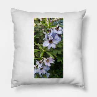 Light blue delphinium blossoms Pillow