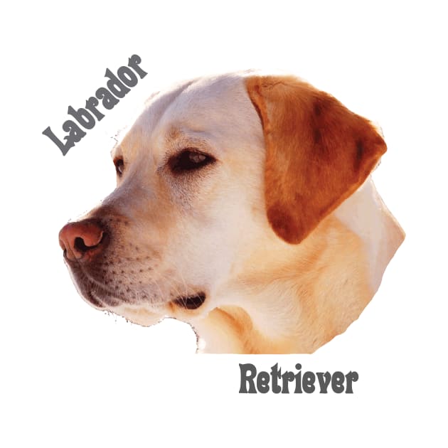 Dog breeds - Labrador Retriever by Hujer