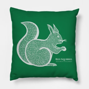 Red Squirrel with Common and Latin Names - hand drawn animal Pillow